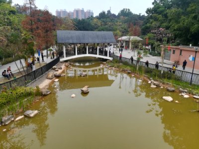 Linbo Cloak Bridge in Guanlan Renmin Park
