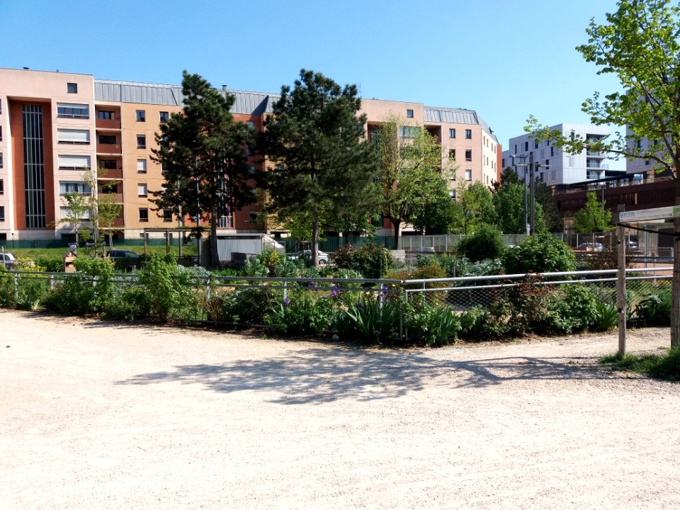 Lyon 2e - Place de la Tunisie, jardin partagé