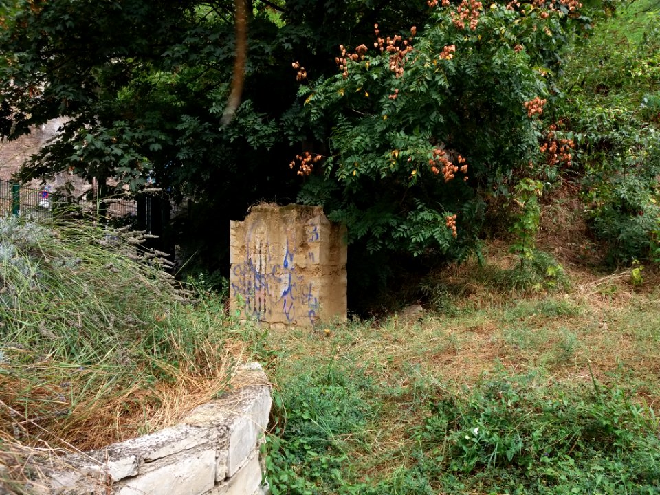 Lyon 1er - Rue du Bon Pasteur - Jardin en friche à l'angle de la montée du Lieutenant Allouche - Puits et petit mur