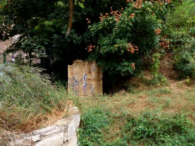Lyon 1er - Rue du Bon Pasteur - Jardin en friche à l'angle de la montée du Lieutenant Allouche - Puits et petit mur
