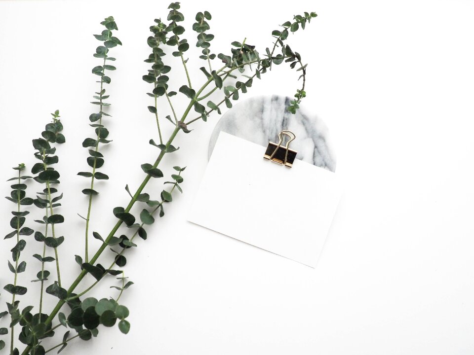 Leaf paper clip white