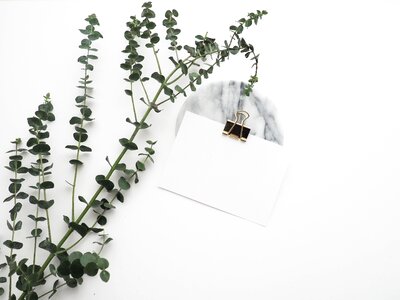 Leaf paper clip white