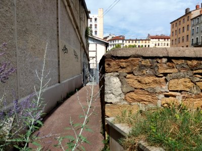 Lyon 1er - Jardin aux Simples - Couloir de sortie