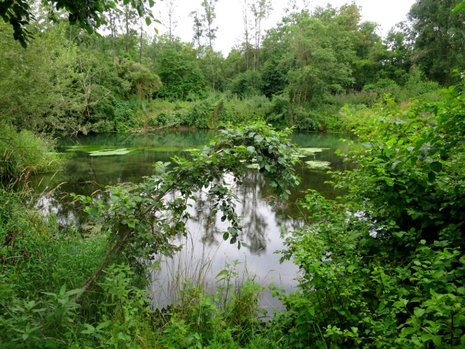 Lorenzsee 2