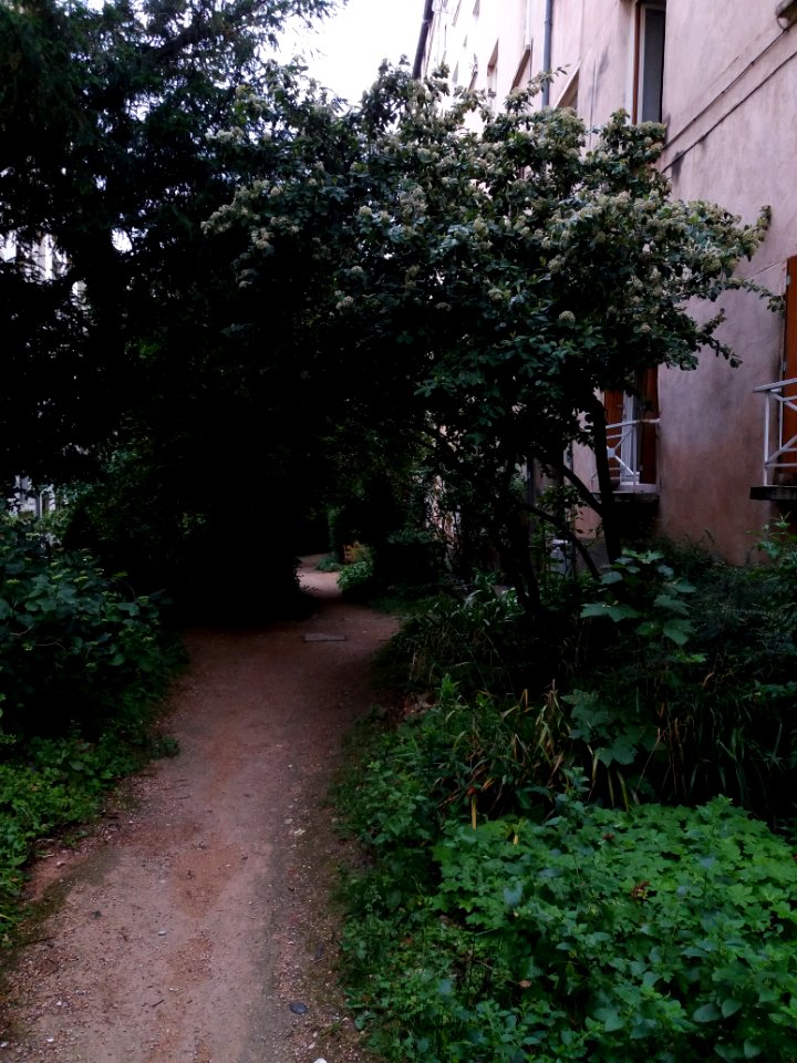 Lyon 1er - Impasse du Bon Pasteur, allée (2)