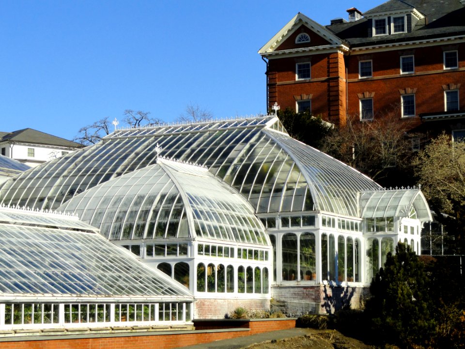 Lyman Plant House, Smith College - DSC04430
