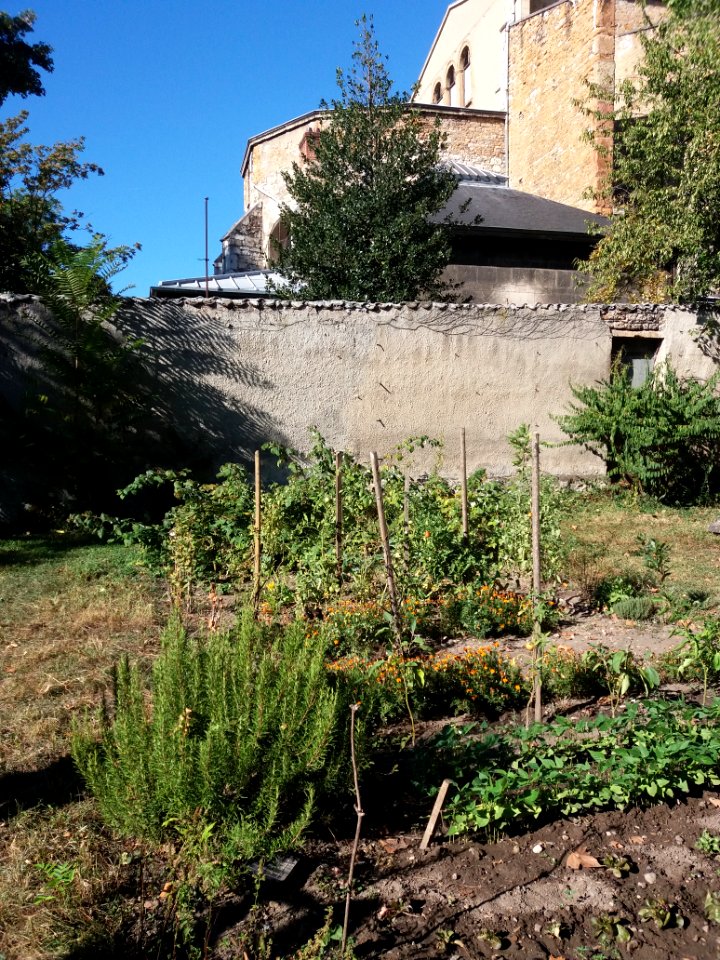 Lycée de Saint-Just de Lyon - Jardins ouest - Potager