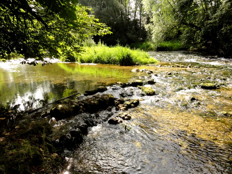 Longeville-en-Barrois (Meuse) l'Ornain (02)