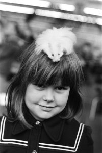 Kleindierententoonstelling in Amsterdamse Rai meisje met langharige hamster, Bestanddeelnr 928-8981