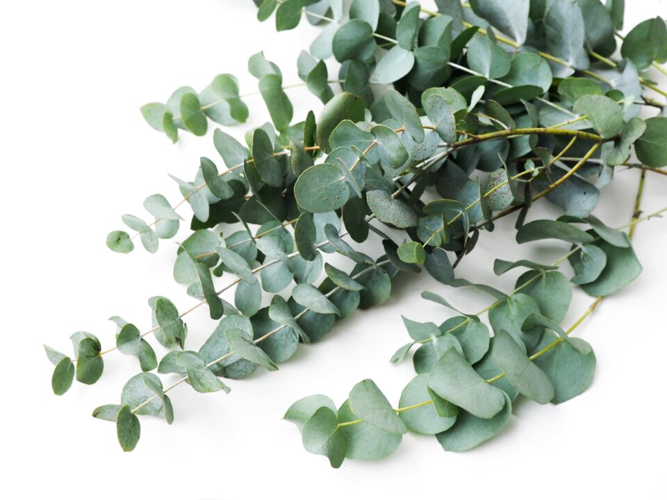 Artificial green plant