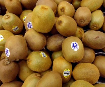 Kiwi for sale in a New Jersey supermarket photo
