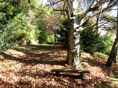 Lycée de Saint-Just de Lyon - Jardins - Banc en pierre