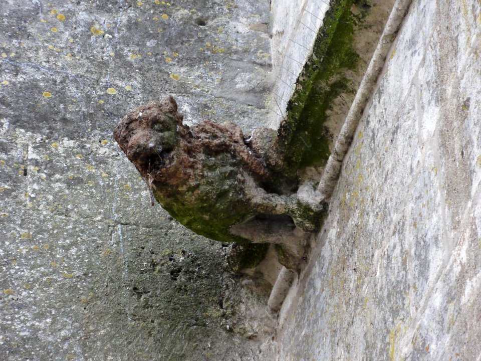 Longeville-en-Barrois (Meuse) église, gargouille (angle)