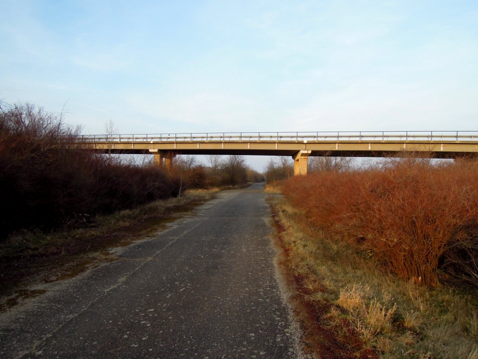 Knautnaundorfer Elsterbrücke im Verlauf der Bundesstraße 186 -Nordwestansicht- Anfang März 2018