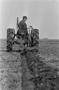 Klaas Eelman uit Texel, kampioen ploegen van Nederland, tijdens het ploegen, Bestanddeelnr 918-3671