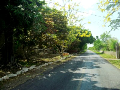 Kitinché (Tixkokob), Yucatán (06)