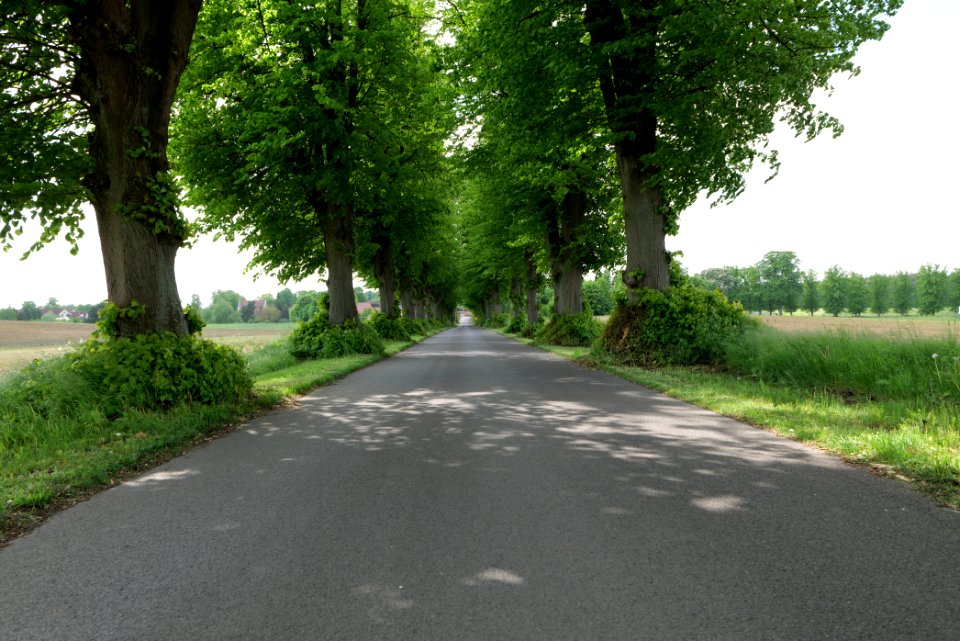 K7329 Avenue in Annenwalde 2021-05-29 08