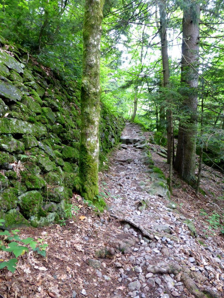 Karlsruher-Grat-2016-07-03-20