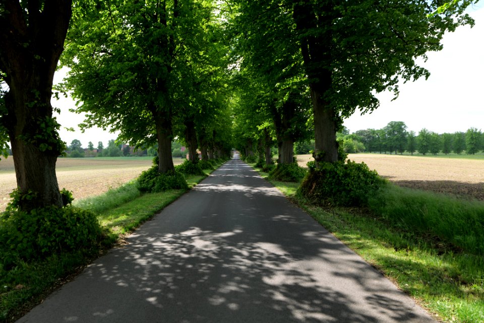 K7329 Avenue in Annenwalde 2021-05-29 17