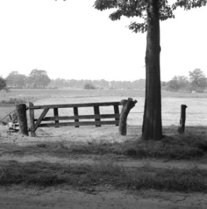 Karakteristieke landschappen, weide, Bestanddeelnr 164-0285