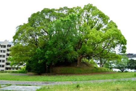 Kariguchidai Kitsunezuka Kofun, funkyu