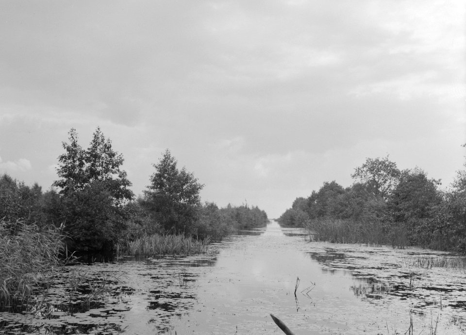 Karakteristieke landschappen, water, Helenavaart, Peel, Deurne, Bestanddeelnr 164-0184