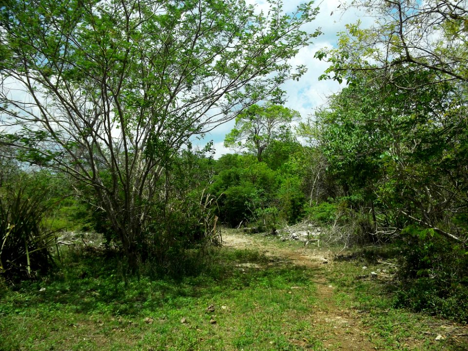 Kintunich, Yucatán (11)