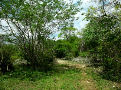 Kintunich, Yucatán (11)