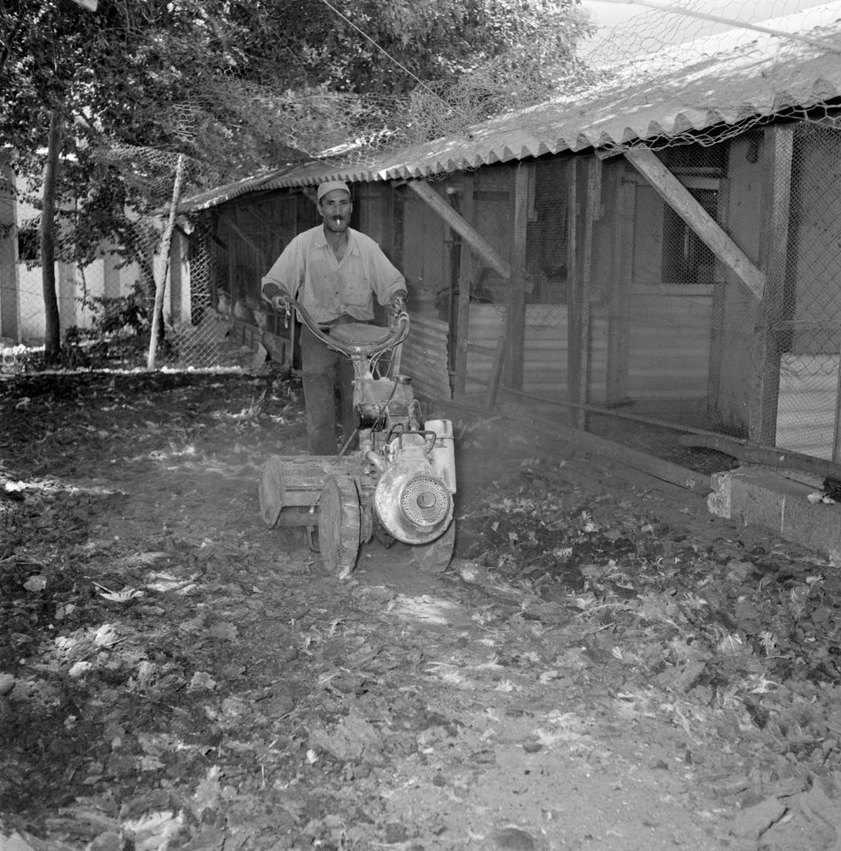 Kalkoenfokkerij in Beit Herut Werknemer bezig met het ontsmetten van het terrei, Bestanddeelnr 255-4617 photo