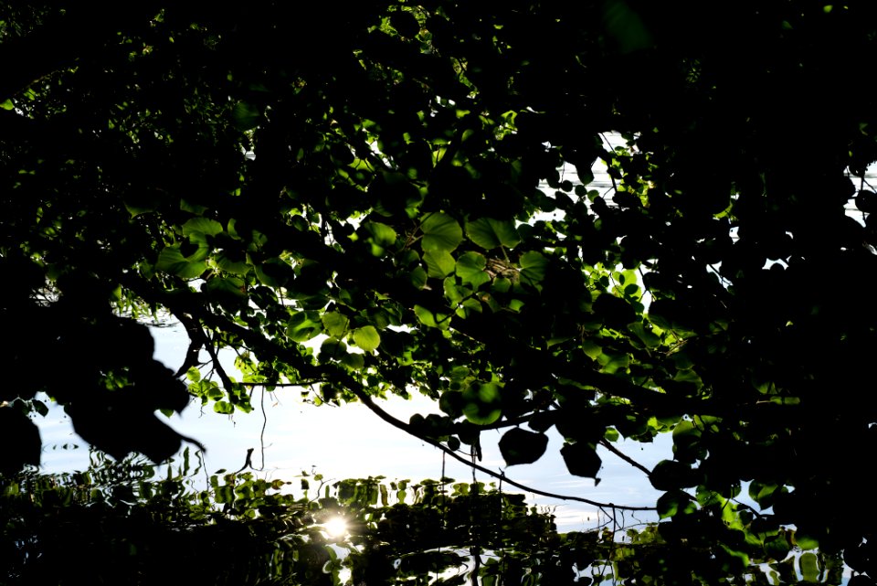 Kalksee Rüdersdorf 2020-08-05 03