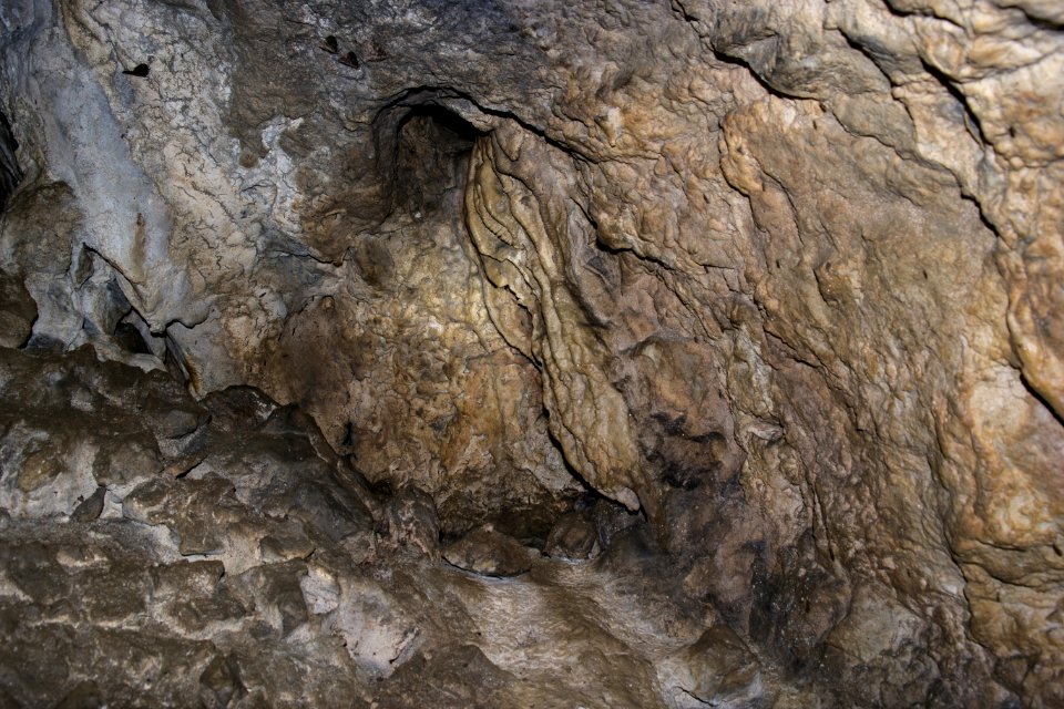 Kellerberghöhle (A 37) 37 photo