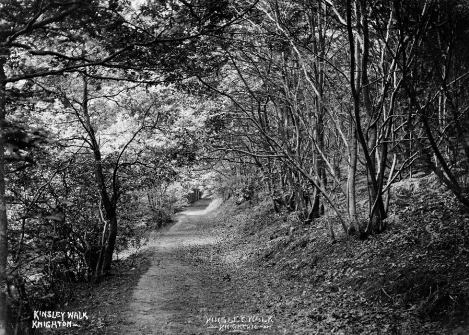 Kinsley walk Knighton (1295159)