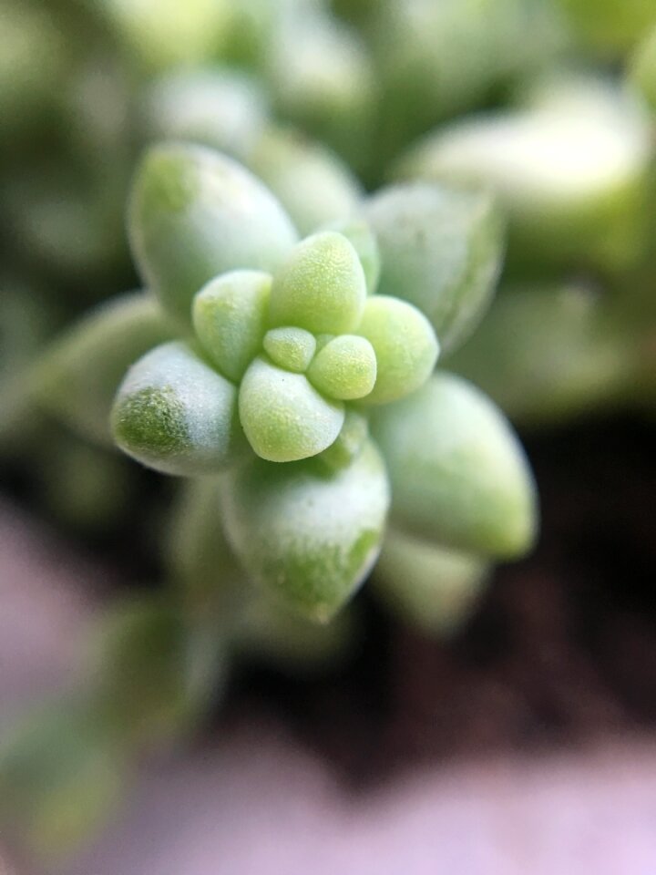 Decorative texture macro