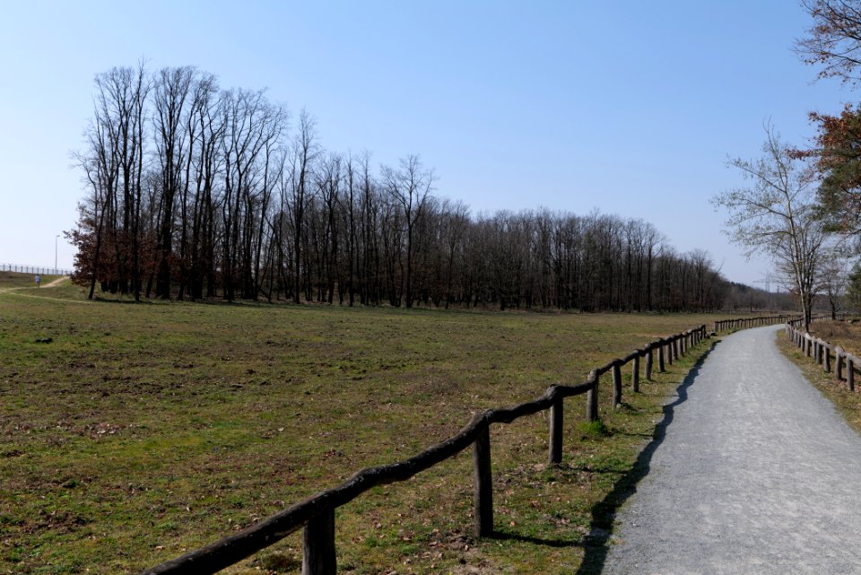 Kelsterbacher Wald 2020-03-27 01