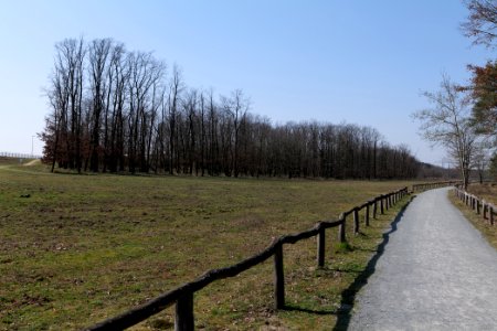 Kelsterbacher Wald 2020-03-27 01