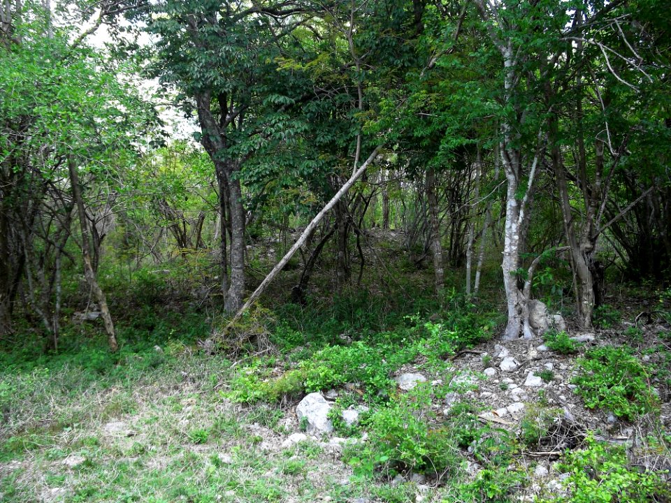 Kintunich, Yucatán (15)
