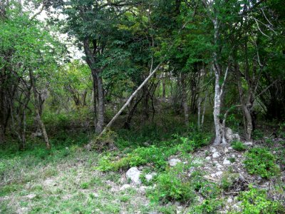 Kintunich, Yucatán (15)