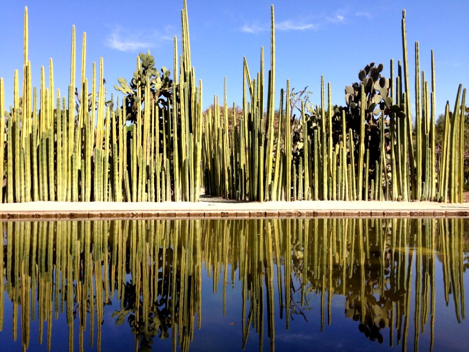 Jardín Etnobotánico de Oaxaca 08