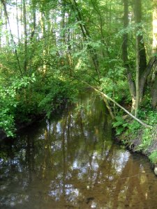 Klausheide-Haustenbach - 1