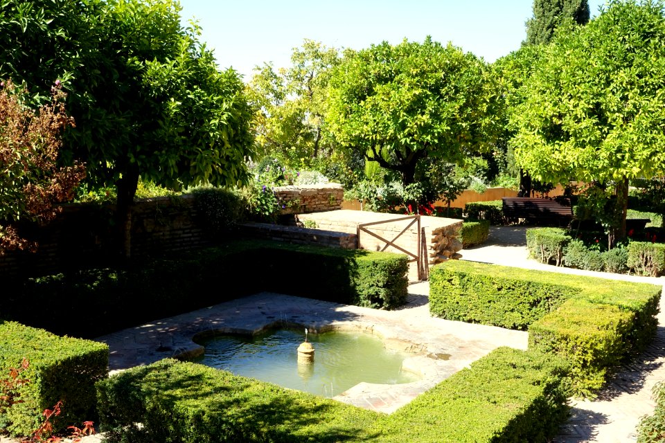 Jardines del Palacio del Generalife - DSC07767
