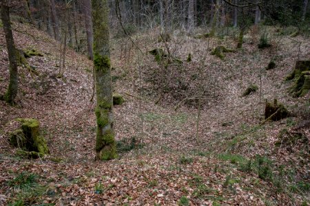 Kleebergponor 09