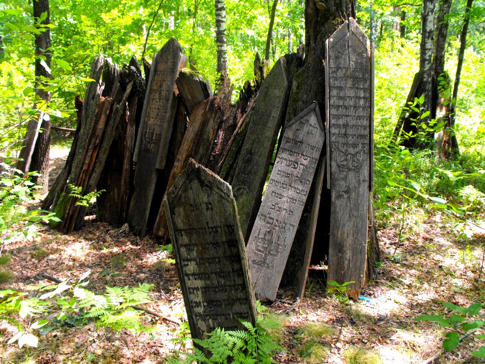 Jewish cemeteries in Lenin (Zhytkavichy district) 1i