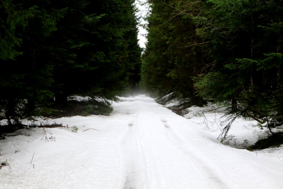 Kleemißweg 2020-03-11 02