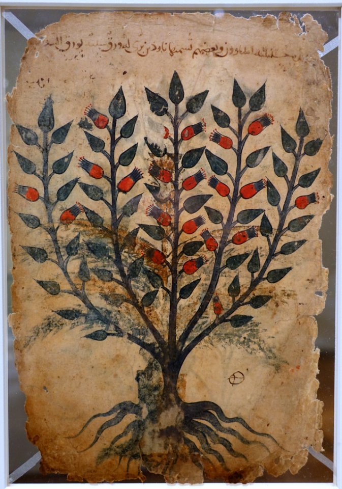 Khawass al-Ashjar (Characteristics of Trees) leaf, probably Iraq, 13th century AD, watercolor and ink on paper, side 1 - Aga Khan Museum - Toronto, Canada - DSC06364