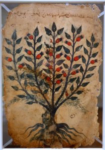 Khawass al-Ashjar (Characteristics of Trees) leaf, probably Iraq, 13th century AD, watercolor and ink on paper, side 1 - Aga Khan Museum - Toronto, Canada - DSC06364
