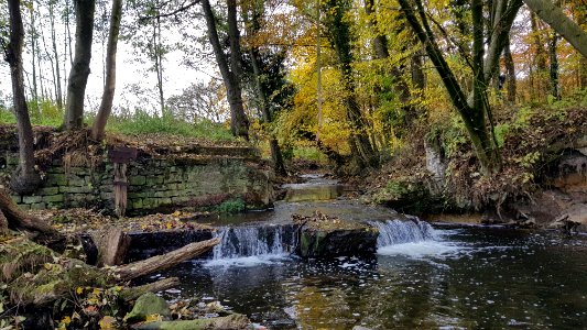 Kelmis-Casinoweiher (24)