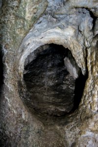 Kellerberghöhle (A 37) 33