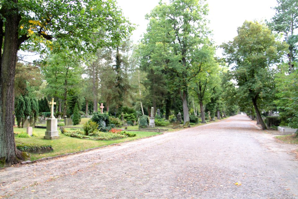 Johannisfriedhof Dresden 2012-08-28-0159