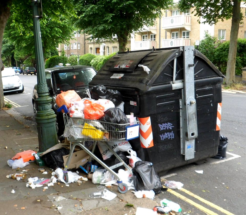 June 2013 Bin Strike in Brighton and Hove (Street Bin at Eaton Gardens, Hove) (2)