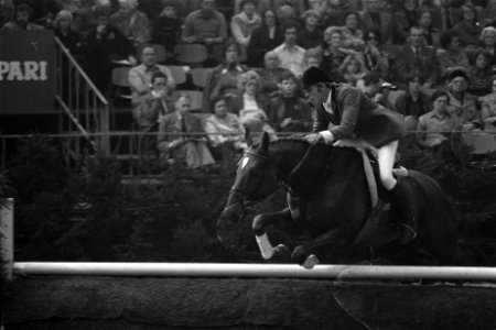 Jumping Amsterdam Gerd Wiltfang met paard Posnitz, Bestanddeelnr 929-4146